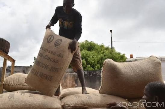 La commercialisation du cacao sera scrutée de très près