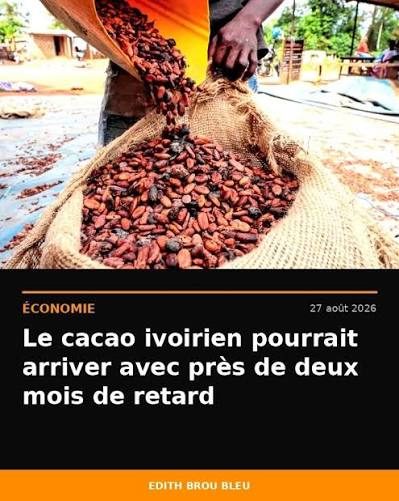 Le cacao fait vivre de nombreux menages