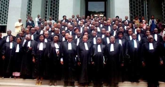 501 agents d'agents judiciaires ont été récemment revoqués